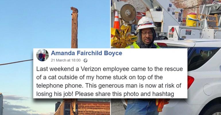 Verizon worker suspended for using work equipment to rescue cat and it’s bush league