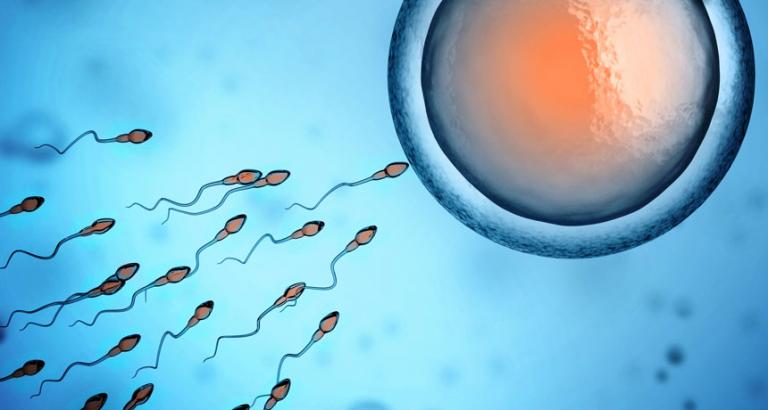 Sperm with damaged DNA may cause some repeat miscarriages
