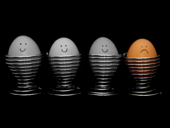 Should You Eat Fewer Eggs?