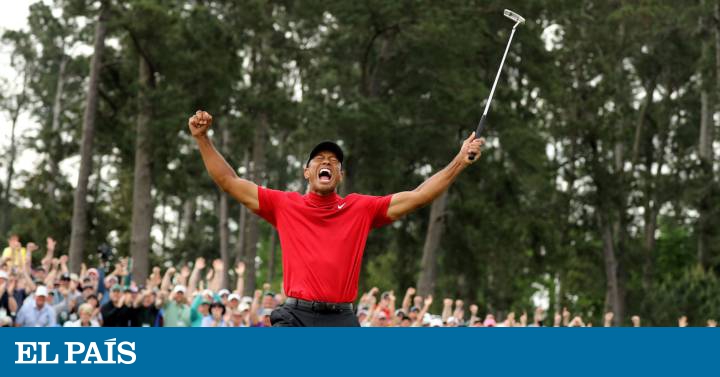 Tiger ya no está solo en el gimnasio