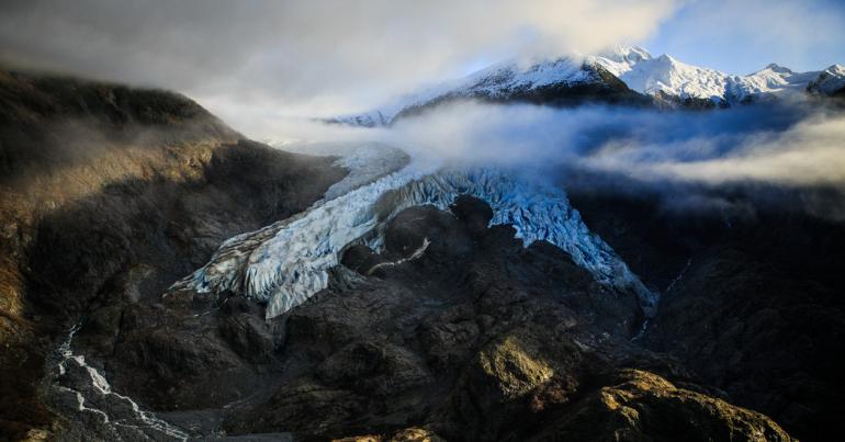‘When the Glaciers Disappear, Those Species Will Go Extinct’