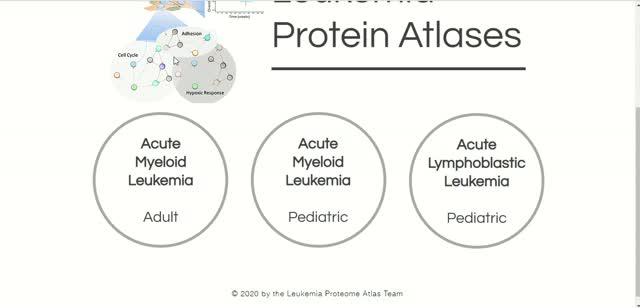 The Leukemia Atlas: researchers unveil proteins that signal disease