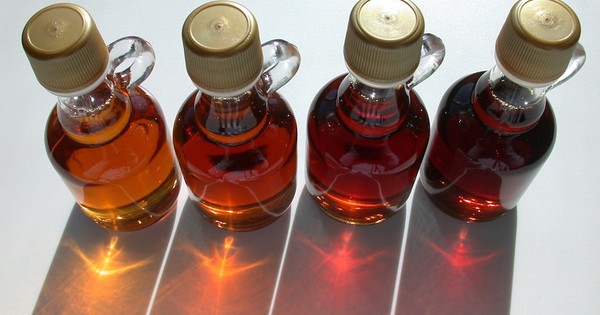 Maple syrup: a sweet solution for farmers?