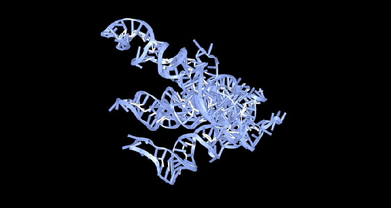 A lack of circular RNAs may trigger lupus