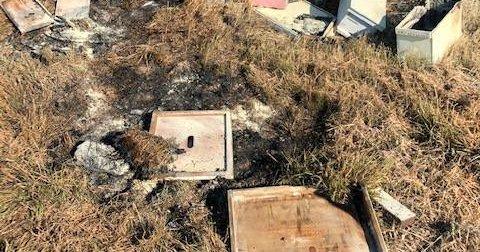 Beehive Arson in Texas Kills Half a Million: ‘There Goes My Honey Flow’