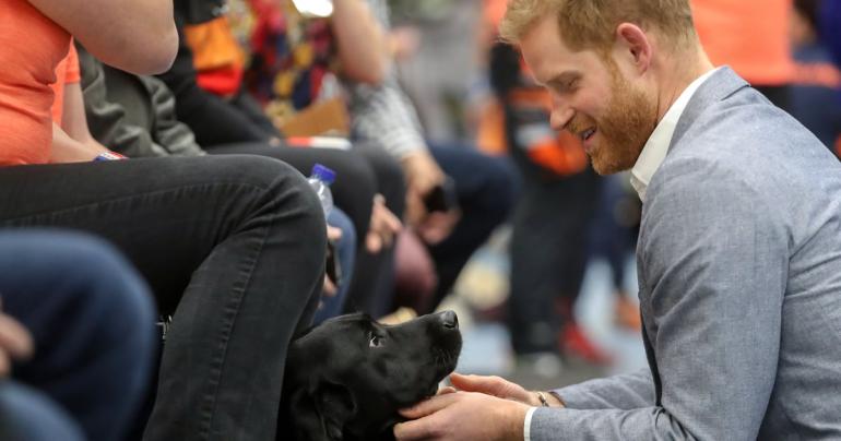 Prince Harry's First Outing Since Becoming a Dad Is the Most Prince Harry Event, Ever