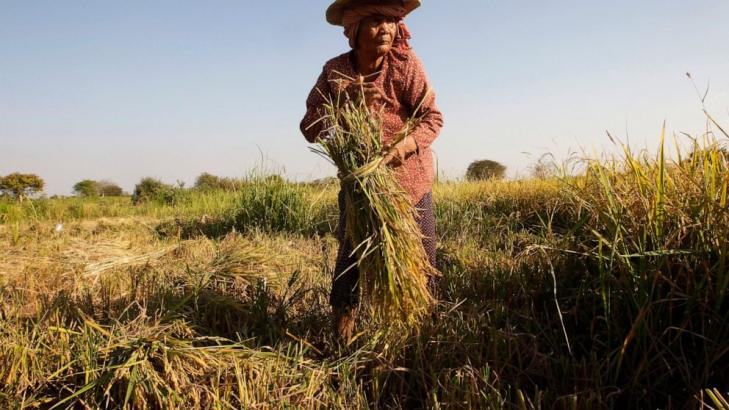 Nearly a half-billion in Asia-Pacific still going hungry: UN