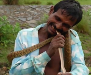 Role Reversal: Indian Man Bites Snake To Death