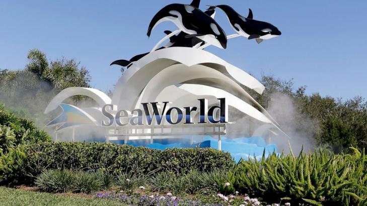 SeaWorld furloughs 90% of workers because of virus crisis