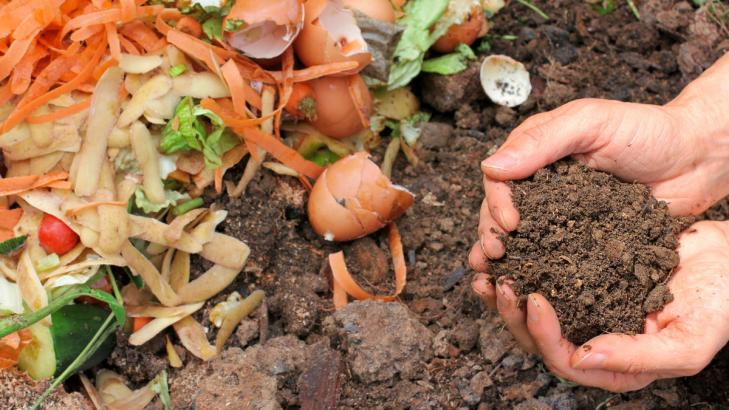 How to Compost in Your Apartment