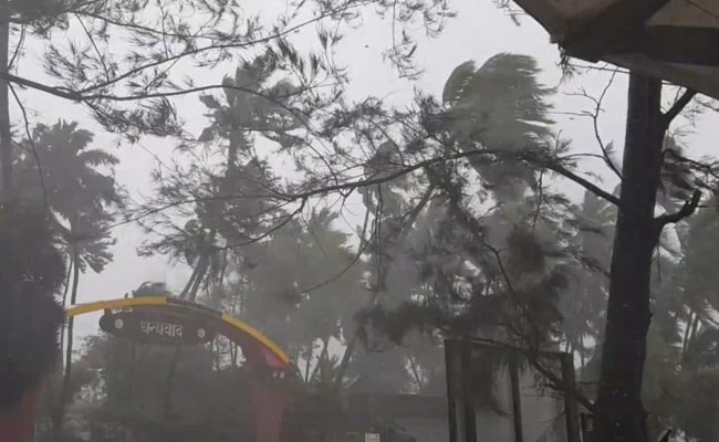 Cyclone Impact Video: Strong Winds, Rain Pound Alibaug, Trees Uprooted