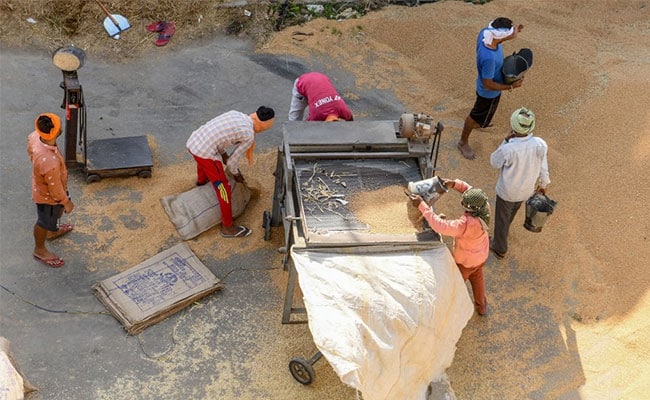 Madhya Pradesh Tops Wheat Procurement With Over 1.27 Crore Tonnes