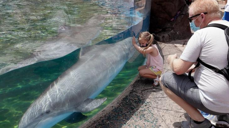 Florida SeaWorld parks reopen with masks, temperature checks