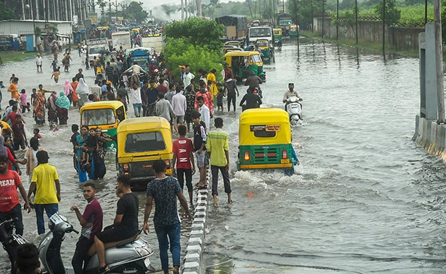 Excess Rain In South Gujarat Damages Paddy Crop, Farmers Stare At Losses