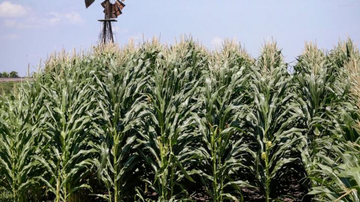 USDA plans additional $14B for farmers reeling from virus
