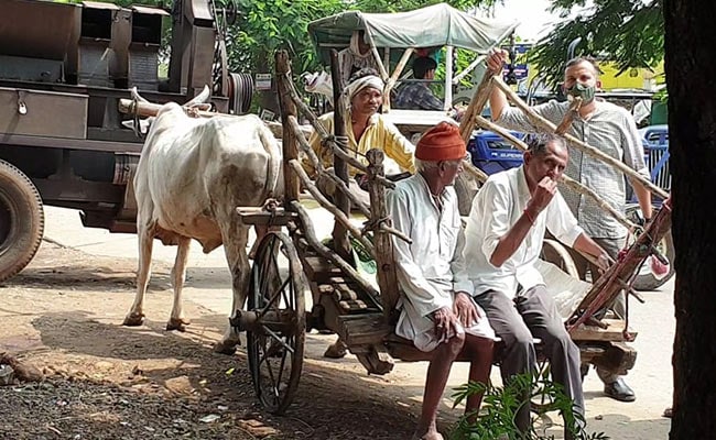 Madhya Pradesh Farmers Cautious, Want More Info On "Historic" Farm Bills
