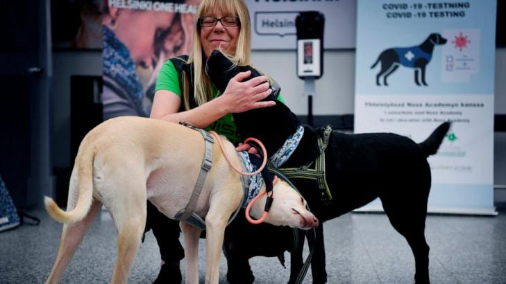 Finland deploys coronavirus-sniffing dogs at main airport