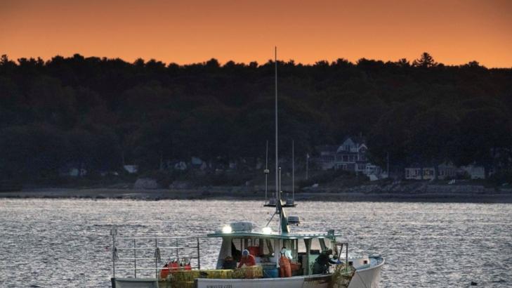 Maine lobster business salvaged its summer despite pandemic