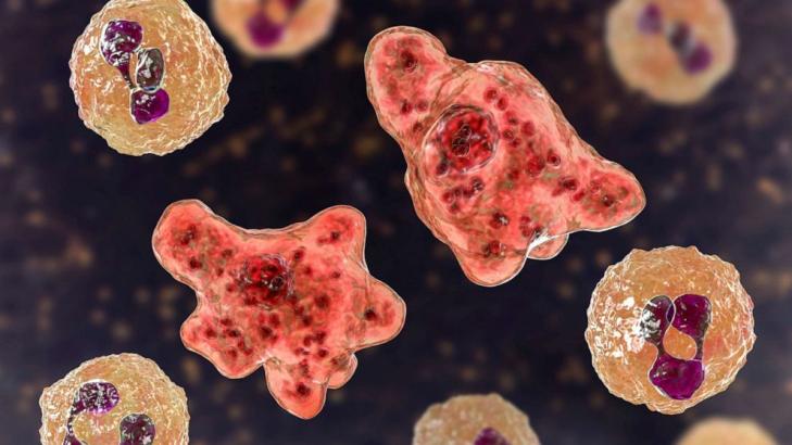 After brain-eating amoeba found in water supply, advisory lifted in all but 1 area