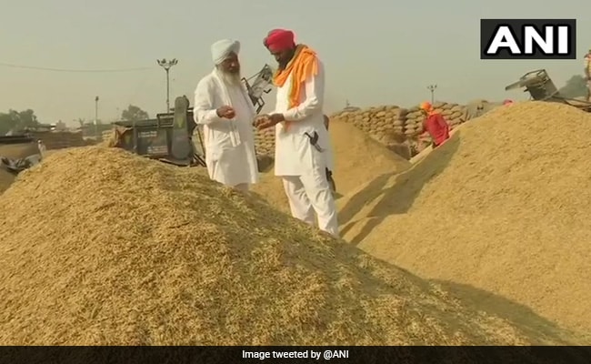 With Over 2,000 New Markets, Paddy Procurement Begins In Punjab
