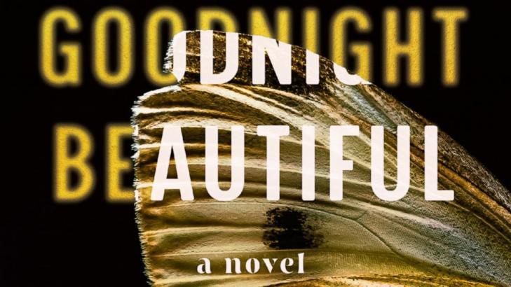 Review: New thriller tweaks the `unreliable female narrator'