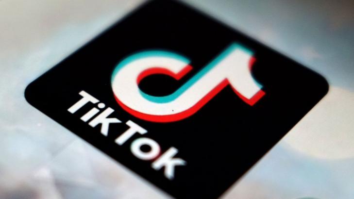 A year in 60 secs: TikTok lists top videos, creators of 2020