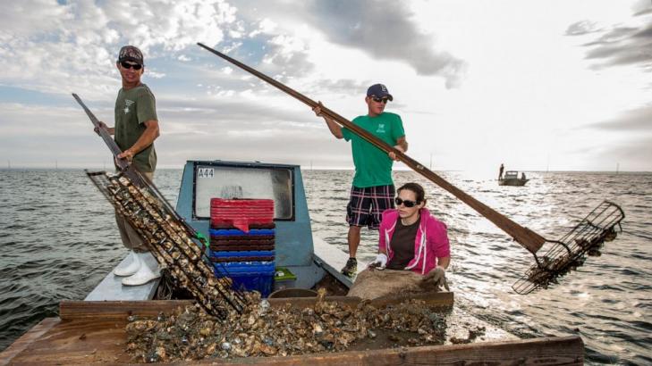 Florida might shut down bay known nationally for its oysters