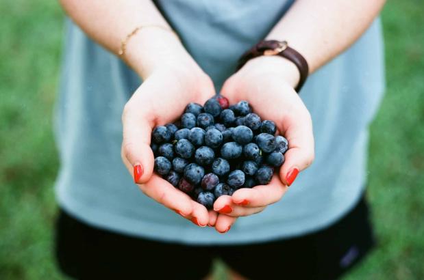 12 Healthy Brain Foods To Improve Your Concentration