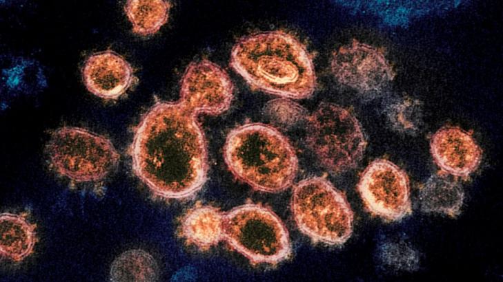 Virus variant from South Africa detected in US for 1st time