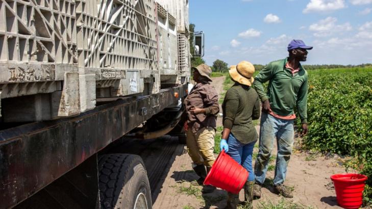 Groups rush to get Florida farmworkers vaccinated