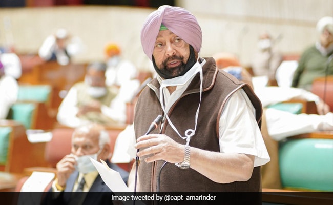 'Not Saying Don't Export Vaccines, But India First': Amarinder Singh
