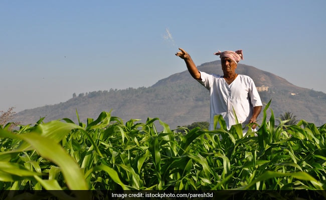 140% Fertiliser Subsidy For Farmers, PM's Office Says "Historic Decision"