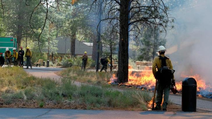 'Nothing looks good' preparing for summer wildfire season