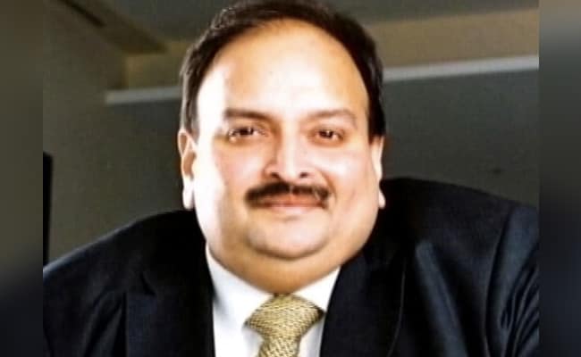 India Sent Mehul Choksi Deportation Documents To Dominica: Antigua PM