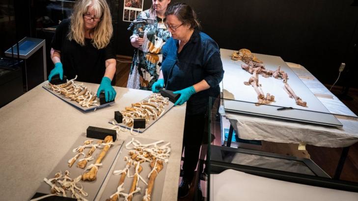 Skeletons of related Viking-era men to reunite for exhibit