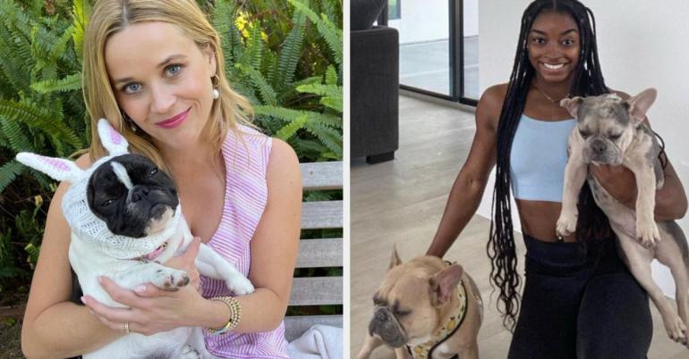 Just 24 Celebs Being Super Stinkin' Cute With Their Pets