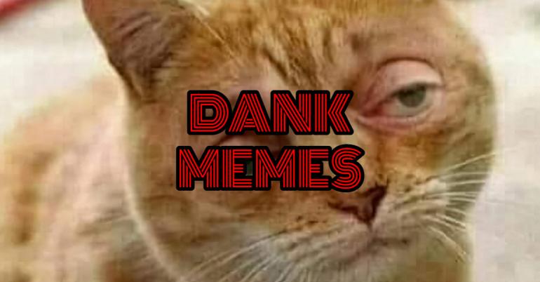 I Diagnose You With Dank Memes (27 Photos)