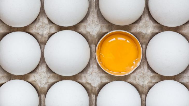 Check Your Fridge for These Recalled Vegan Egg Products