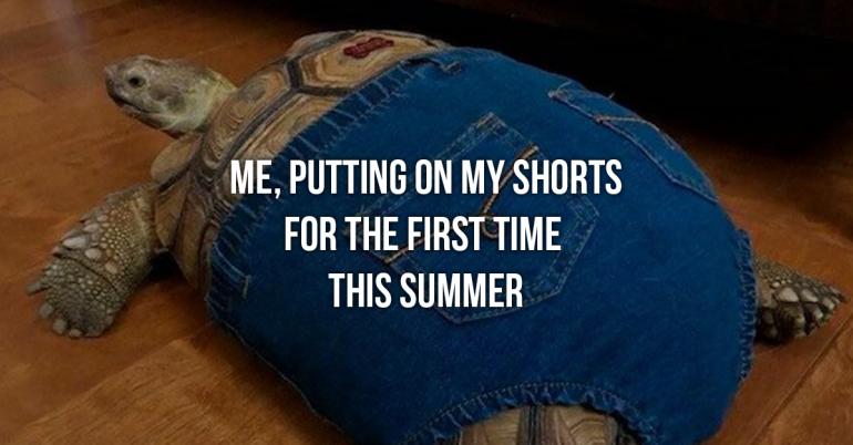 Summer memes to cool you down during this heat wave (31 Photos)