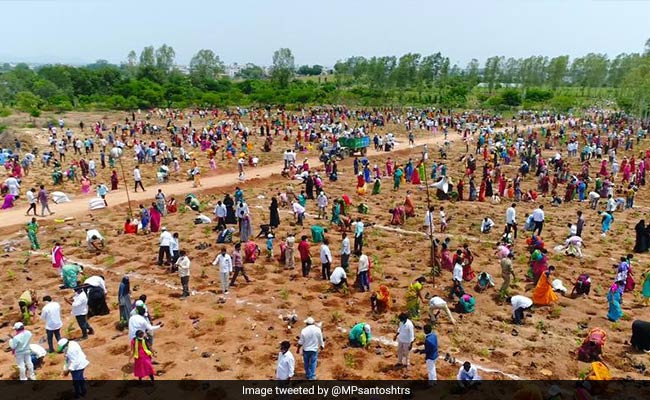 1 Million Saplings Planted In An Hour In Telangana In New World Record