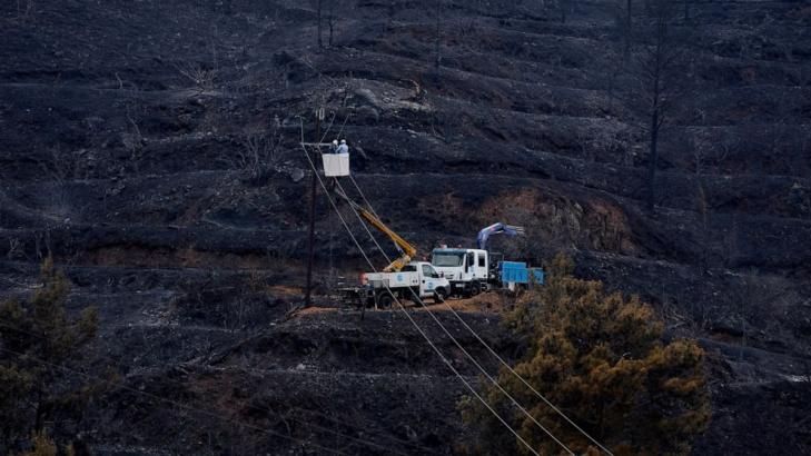 Cyprus forest fire that killed 4 now under control