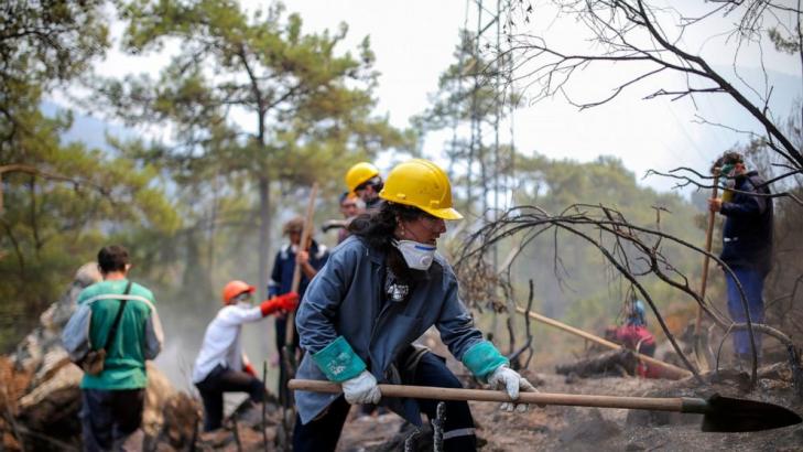 Turkey's burned forests now an environmental battleground