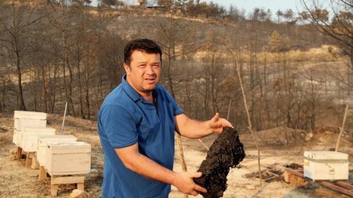 Devastated by wildfires, Turkey's beekeepers see grim future