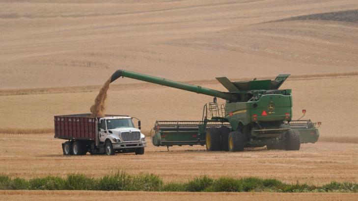 Severe drought devastates Washington state's wheat crop