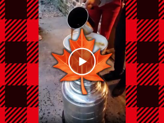 This may be more Canadian than poutine in the Stanley Cup (Video)