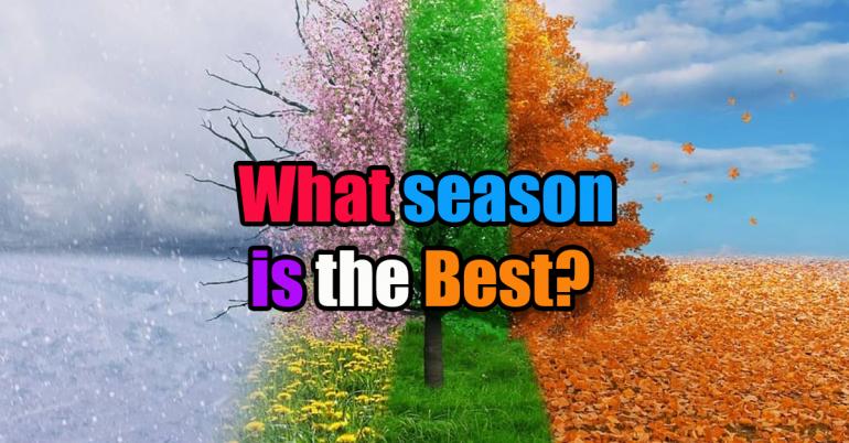 People make their case for what is the best season of all. Agree? (20 Photos)