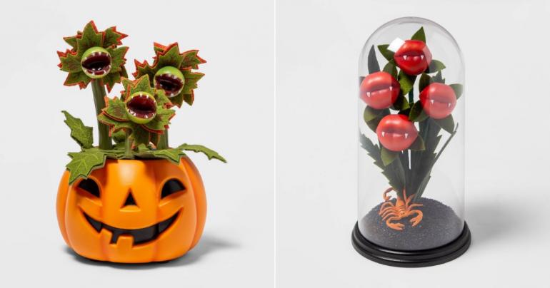 Yes, You Absolutely Need These Creepy Halloween Plants From Target!