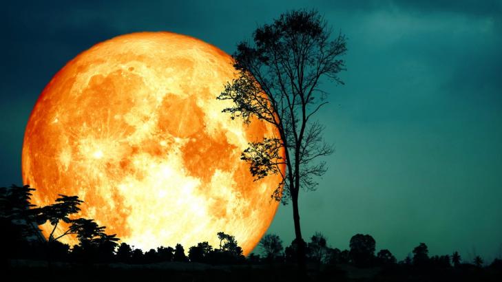 When to See the 'Harvest Moon' at Peak Brilliance This Month