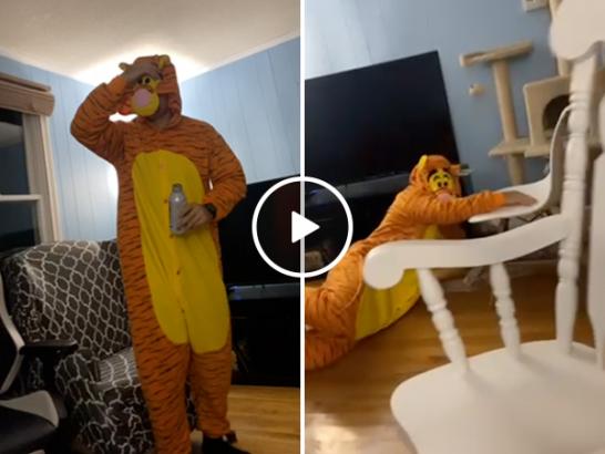 Time to bounce home Tigger, your drunk a** ain’t scaring anyone (Video)