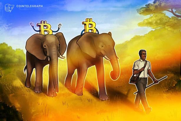 Zimbabwe may be the next country to embrace Bitcoin as legal tender